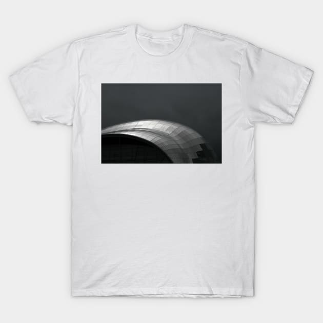 What a Grey Day T-Shirt by RoystonVasey